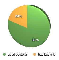 good and bad gut bacteria ratio